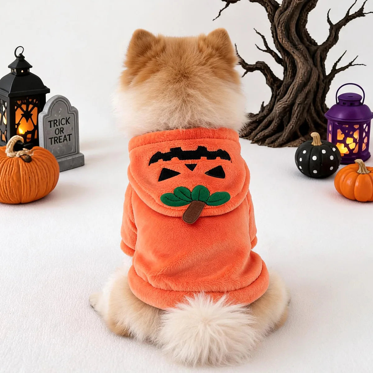 Halloween Pumpkin Color Flannel Animal Cosplay Pet Hoodie For Small Dogs & Cats